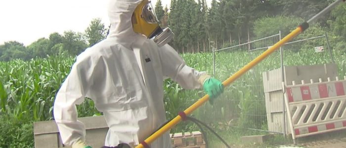 Jamirotec GmbH Bremen Delmenhorst Oldenburg Hamburg Schädlingsbekämpfung Begasungen Holzschutz Beratung Analyse ökologische biologische Schädlingsbekämpfung Reinigung Desinfektion Heißnebelverfahren Motten Tauben Wespen Mäuse Ratten Schaben Marder Eichenprozessionsspinner EPS Zertifizierungsstandards Gesundheit Vermögenswerte Vorratsschutz Kunsterhaltung Schiffsbegasung Gebäudedurjamirotec Bremen Delmenhorst Oldenburg Hamburg Schädlingsbekämpfung Begasungen Holzschutz Beratung Analyse ökologische biologische Schädlingsbekämpfung Reinigung Desinfektion Heißnebelverfahren Motten Tauben Wespen Mäuse Ratten Schaben Marder Eichenprozessionsspinner (EPS) Zertifizierungsstandards Gesundheit Vermögenswerte Vorratsschutz Kunsterhaltung Schiffsbegasung Gebäudedurchgasung Sackstapelbegasung Containerbegasung Holzhausbegasung Silobegasung Lagerbegasung Rohwarenbegasung Maschinenbegasung Restgasmessungen Vorratsschutzräume Gesundheitsschutzchgasung Sackstapelbegasung Containerbegasung Holzhausbegasung Silobegasung Lagerbegasung Rohwarenbegasung Maschinenbegasung Restgasmessungen Vorratsschutzräume Gesundheitsschutz Treatment Provider BMSB Fumigation Treatment Provider Australien Neuseeland Australia Government GUTcert EcoStep VföS Öko Zertifikat DSV Deutscher Schädlingsbekämpfer-Verband e.V.