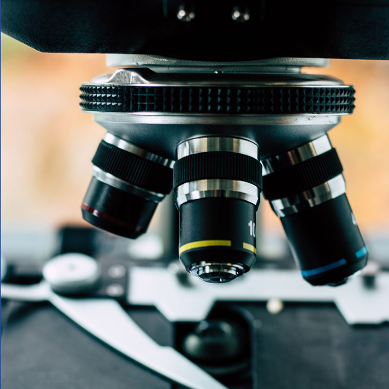 Jamirotec GmbH Bremen Delmenhorst Oldenburg Hamburg Schädlingsbekämpfung Begasungen Holzschutz Beratung Analyse ökologische biologische Schädlingsbekämpfung Reinigung Desinfektion Heißnebelverfahren Motten Tauben Wespen Mäuse Ratten Schaben Marder Eichenprozessionsspinner EPS Zertifizierungsstandards Gesundheit Vermögenswerte Vorratsschutz Kunsterhaltung Schiffsbegasung Gebäudedurjamirotec Bremen Delmenhorst Oldenburg Hamburg Schädlingsbekämpfung Begasungen Holzschutz Beratung Analyse ökologische biologische Schädlingsbekämpfung Reinigung Desinfektion Heißnebelverfahren Motten Tauben Wespen Mäuse Ratten Schaben Marder Eichenprozessionsspinner (EPS) Zertifizierungsstandards Gesundheit Vermögenswerte Vorratsschutz Kunsterhaltung Schiffsbegasung Gebäudedurchgasung Sackstapelbegasung Containerbegasung Holzhausbegasung Silobegasung Lagerbegasung Rohwarenbegasung Maschinenbegasung Restgasmessungen Vorratsschutzräume Gesundheitsschutzchgasung Sackstapelbegasung Containerbegasung Holzhausbegasung Silobegasung Lagerbegasung Rohwarenbegasung Maschinenbegasung Restgasmessungen Vorratsschutzräume Gesundheitsschutz Treatment Provider BMSB Fumigation Treatment Provider Australien Neuseeland Australia Government GUTcert EcoStep VföS Öko Zertifikat DSV Deutscher Schädlingsbekämpfer-Verband e.V.